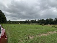IMG_2421.jpeg