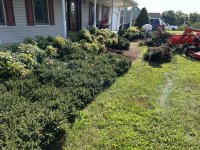 IMG_2451.jpeg