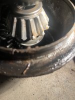 IMG_1156.jpeg