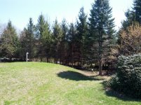 IMG_20130428_133326.jpg