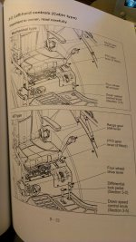 IMAG0185 (Large).jpg