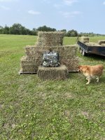 IMG_4346.jpeg