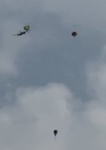 IMG_1028.jpg