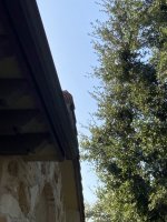 IMG_5083.JPG
