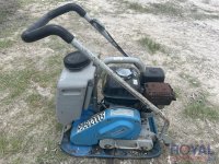 43015-9.jpg