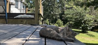 IMG_2528.jpeg