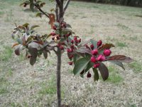IMG_1694.JPG