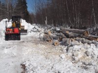 Firewood 2015-03-31- 006.jpg
