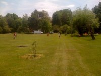 IMG_2140.jpg