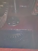 20250811_095512.jpg