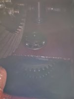20250811_095527.jpg