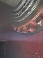20250811_095618.jpg