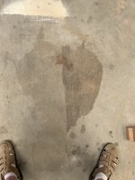 IMG_5120.jpeg