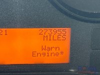 16006-6.jpg