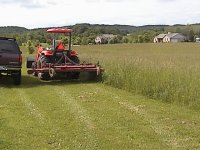 666566-Tractor Stonewall 605.JPG