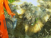 667032-in the hole.jpg