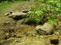 667035-stones.jpg