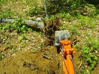 667045-dig and flip.jpg