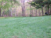 783134-Lawm Mowed_Wide.jpg