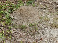 DSCN0579.JPG