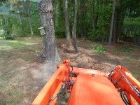 DSCN0570.JPG