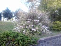 150505_002.jpg