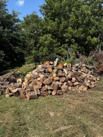 IMG_4460.JPG