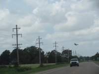 IMG_8565.JPG