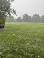 IMG_7140.jpg