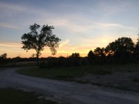 image-168084992.jpg