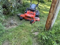 IMG_2711.jpeg