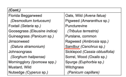 Sanbur.png