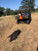bacon to train station.jpg