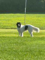 IMG_7232.jpg