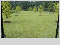 DSCN0779.JPG