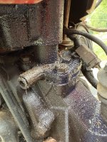 IMG_2327.jpeg