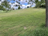 IMG_2754.jpeg