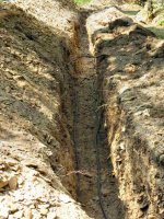 831523-Trench.JPG