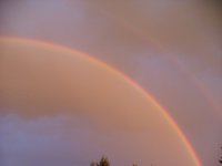 628661-rainbow.jpg
