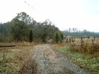 785479-driveway.JPG