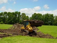785557-Excavation2.jpg