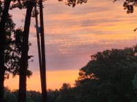 20250831_064902.jpg