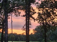 20250831_064838.jpg