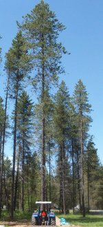 100_7874.jpg