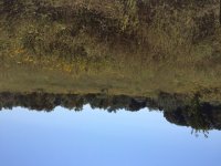 IMG_0354.JPG