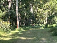 IMG_2822.jpeg