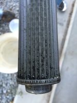 IMG_1286.jpg