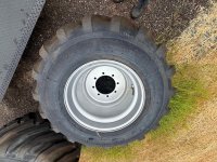 250-2.jpg