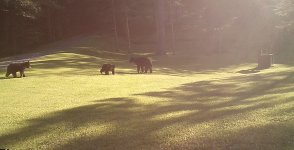 IMG_4846A.JPG