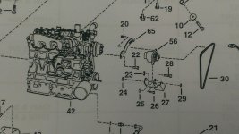 IMAG0335.jpg